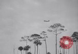 Immagine di Crash aereo Vero Beach Florida USA, 1941, secondo 26 filmato di repertorio 65675028545