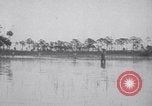 Immagine di Crash aereo Vero Beach Florida USA, 1941, secondo 28 filmato di repertorio 65675028545