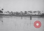 Immagine di Crash aereo Vero Beach Florida USA, 1941, secondo 30 filmato di repertorio 65675028545