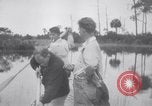 Immagine di Crash aereo Vero Beach Florida USA, 1941, secondo 32 filmato di repertorio 65675028545