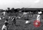 Image of Indian civilians India, 1947, second 43 stock footage video 65675028574