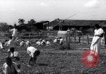 Image of Indian civilians India, 1947, second 45 stock footage video 65675028574