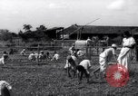 Image of Indian civilians India, 1947, second 56 stock footage video 65675028574