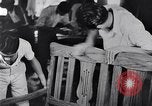 Image of children Philippines, 1934, second 27 stock footage video 65675028582