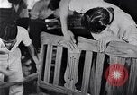 Image of children Philippines, 1934, second 30 stock footage video 65675028582