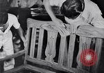 Image of children Philippines, 1934, second 31 stock footage video 65675028582