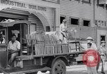 Image of children Philippines, 1934, second 61 stock footage video 65675028582