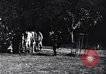 Standbild Studenten Ägypten, 1934, aus Sekunde 41 historischem Filmmaterial Videoclip 65675028583