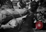 Standbild indische Volk Bombay Indien, 1958, aus Sekunde 11 historischem Filmmaterial Videoclip 65675028585