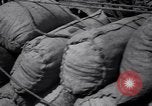 Standbild indische Volk Bombay Indien, 1958, aus Sekunde 12 historischem Filmmaterial Videoclip 65675028585