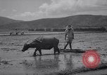 Standbild indische Volk Bombay Indien, 1958, aus Sekunde 43 historischem Filmmaterial Videoclip 65675028585