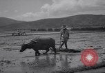 Standbild indische Volk Bombay Indien, 1958, aus Sekunde 44 historischem Filmmaterial Videoclip 65675028585