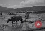 Standbild indische Volk Bombay Indien, 1958, aus Sekunde 45 historischem Filmmaterial Videoclip 65675028585