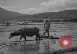 Standbild indische Volk Bombay Indien, 1958, aus Sekunde 46 historischem Filmmaterial Videoclip 65675028585