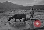 Standbild indische Volk Bombay Indien, 1958, aus Sekunde 48 historischem Filmmaterial Videoclip 65675028585