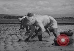Standbild indische Volk Bombay Indien, 1958, aus Sekunde 54 historischem Filmmaterial Videoclip 65675028585