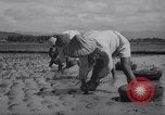 Standbild indische Volk Bombay Indien, 1958, aus Sekunde 55 historischem Filmmaterial Videoclip 65675028585