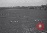 Standbild indische Volk Bombay Indien, 1958, aus Sekunde 57 historischem Filmmaterial Videoclip 65675028585