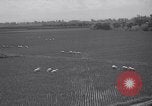 Standbild indische Volk Bombay Indien, 1958, aus Sekunde 58 historischem Filmmaterial Videoclip 65675028585