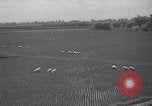 Standbild indische Volk Bombay Indien, 1958, aus Sekunde 59 historischem Filmmaterial Videoclip 65675028585