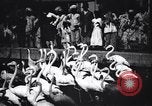 Image personnes regardent flamants dans un zoo l'Inde, 1953, de la seconde 9 séquences d'archives historiques vidéo 65675028600