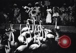 Image personnes regardent flamants dans un zoo l'Inde, 1953, de la seconde 13 séquences d'archives historiques vidéo 65675028600