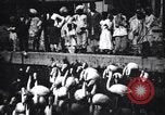 Image personnes regardent flamants dans un zoo l'Inde, 1953, de la seconde 23 séquences d'archives historiques vidéo 65675028600