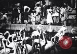 Image personnes regardent flamants dans un zoo l'Inde, 1953, de la seconde 34 séquences d'archives historiques vidéo 65675028600