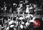 Image personnes regardent flamants dans un zoo l'Inde, 1953, de la seconde 36 séquences d'archives historiques vidéo 65675028600