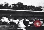 Standbild Dhobis arbeiten an einer Dhobi Ghat Indien, 1953, aus Sekunde 3 historischem Filmmaterial Videoclip 65675028601