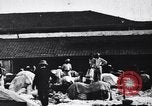 Standbild Dhobis arbeiten an einer Dhobi Ghat Indien, 1953, aus Sekunde 26 historischem Filmmaterial Videoclip 65675028601