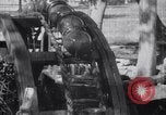 Image taureaux alimentant une roue de Perse l'Inde, 1953, de la seconde 36 séquences d'archives historiques vidéo 65675028603