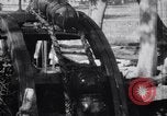 Image taureaux alimentant une roue de Perse l'Inde, 1953, de la seconde 37 séquences d'archives historiques vidéo 65675028603