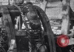 Image taureaux alimentant une roue de Perse l'Inde, 1953, de la seconde 39 séquences d'archives historiques vidéo 65675028603