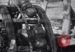 Image taureaux alimentant une roue de Perse l'Inde, 1953, de la seconde 40 séquences d'archives historiques vidéo 65675028603