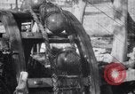 Image taureaux alimentant une roue de Perse l'Inde, 1953, de la seconde 42 séquences d'archives historiques vidéo 65675028603