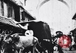 Standbild Kamele Ochsenkarren und ein Elefant bewegen in einer Straße Indien, 1953, aus Sekunde 39 historischem Filmmaterial Videoclip 65675028604