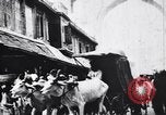 Standbild Kamele Ochsenkarren und ein Elefant bewegen in einer Straße Indien, 1953, aus Sekunde 51 historischem Filmmaterial Videoclip 65675028604