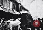 Standbild Kamele Ochsenkarren und ein Elefant bewegen in einer Straße Indien, 1953, aus Sekunde 52 historischem Filmmaterial Videoclip 65675028604