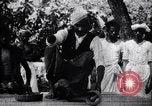 Standbild Mungo kämpfen mit einem Hooded cobra Snake Indien, 1953, aus Sekunde 8 historischem Filmmaterial Videoclip 65675028605