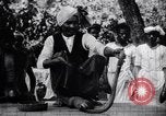 Standbild Mungo kämpfen mit einem Hooded cobra Snake Indien, 1953, aus Sekunde 11 historischem Filmmaterial Videoclip 65675028605