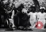 Standbild Mungo kämpfen mit einem Hooded cobra Snake Indien, 1953, aus Sekunde 12 historischem Filmmaterial Videoclip 65675028605