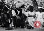 Standbild Mungo kämpfen mit einem Hooded cobra Snake Indien, 1953, aus Sekunde 22 historischem Filmmaterial Videoclip 65675028605