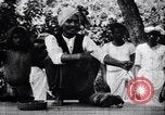 Standbild Mungo kämpfen mit einem Hooded cobra Snake Indien, 1953, aus Sekunde 24 historischem Filmmaterial Videoclip 65675028605