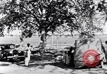Immagine di Popolo Indiano e animali India, 1947, secondo 35 filmato di repertorio 65675028609