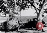 Immagine di Popolo Indiano e animali India, 1947, secondo 37 filmato di repertorio 65675028609