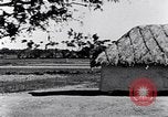 Immagine di Popolo Indiano e animali India, 1947, secondo 41 filmato di repertorio 65675028609