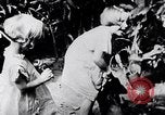 Immagine di Bambini indiani India, 1947, secondo 17 filmato di repertorio 65675028610