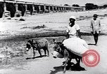 Standbild Berufe der normalen Menschen Indien, 1947, aus Sekunde 48 historischem Filmmaterial Videoclip 65675028611