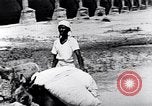 Standbild Berufe der normalen Menschen Indien, 1947, aus Sekunde 51 historischem Filmmaterial Videoclip 65675028611